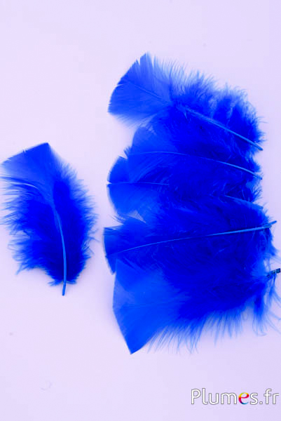 Tacchina - 6-8 cm - blu